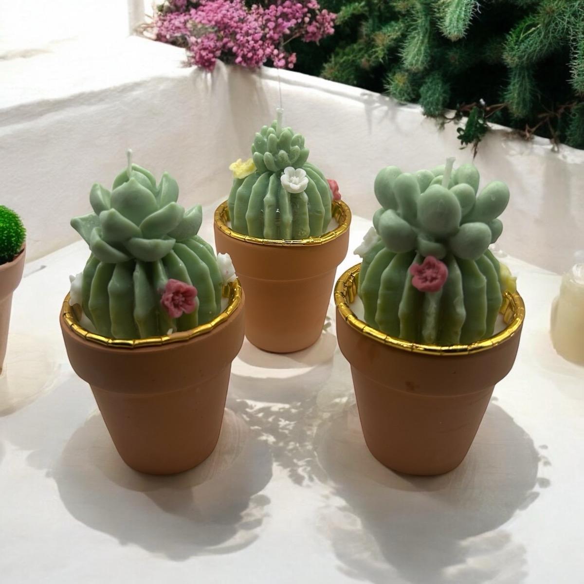 3 Pack Cactus Candles for Home Decor and Ornaments Freshener