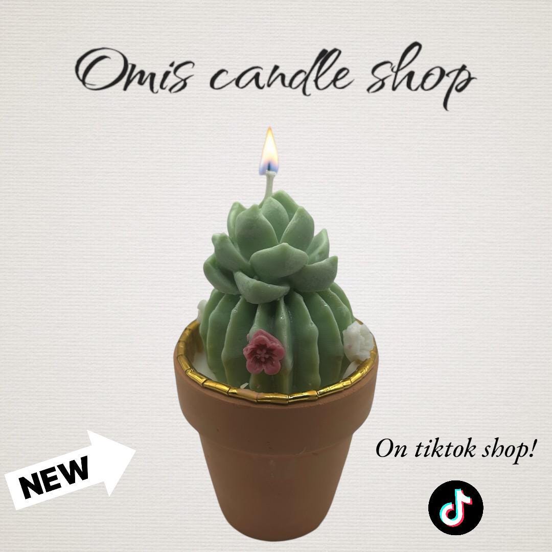 succulents candles cactus candle
