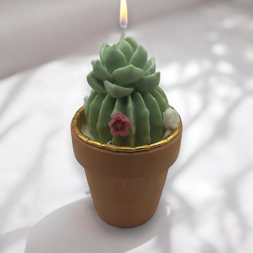 cactus candle