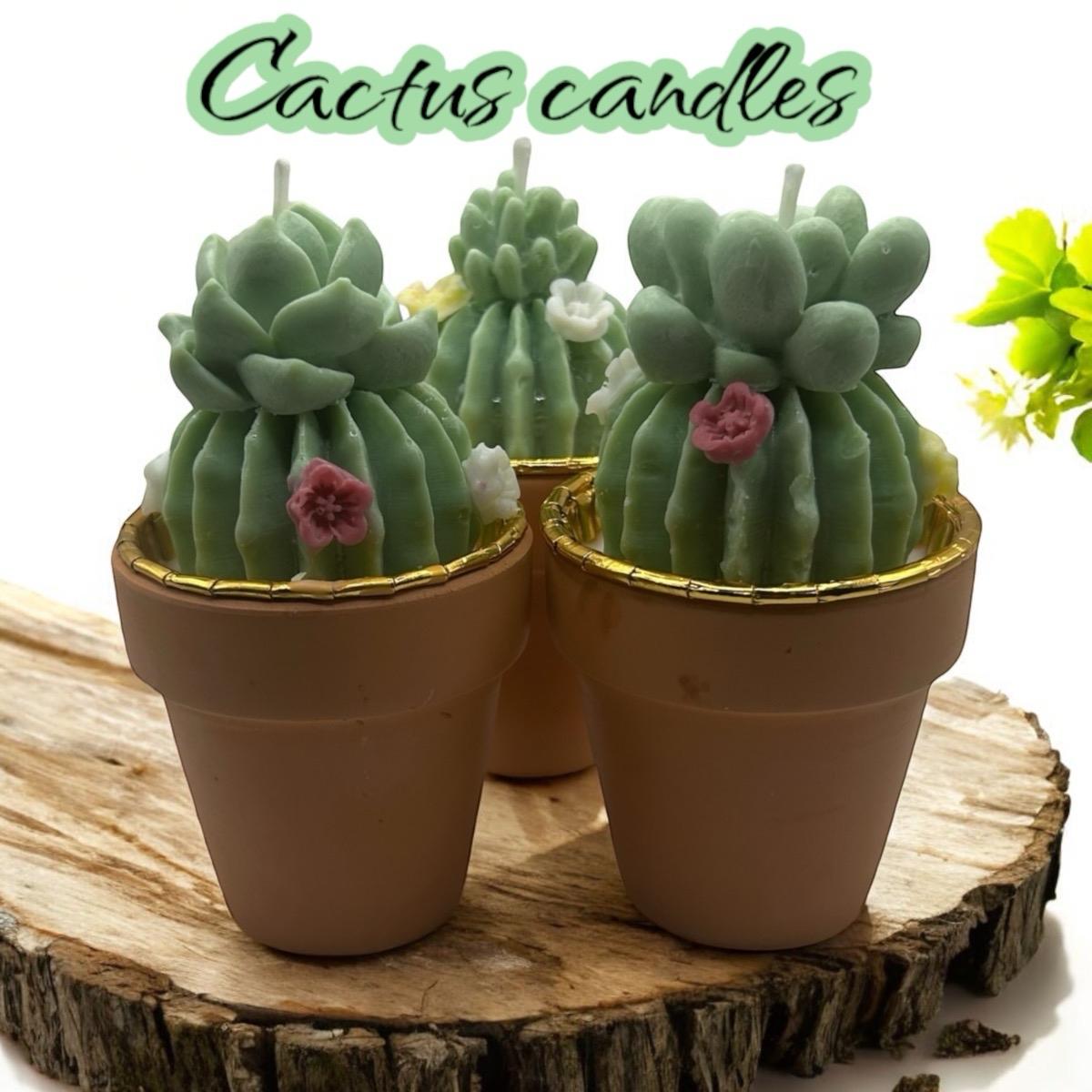 3 Pack Cactus Candles for Home Decor and Ornaments Freshener